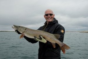 40 Inch Pike