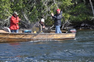 Here is my all time favorite fishing shot.